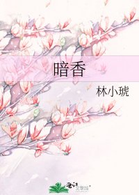 《暗香》