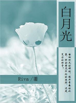 《白月光》