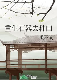 重生石器去種田