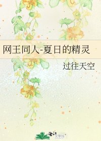 《网王同人-夏日的精灵》