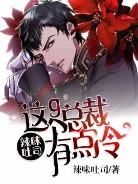《这个总裁有点冷》