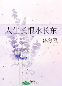《人生长恨水长东》