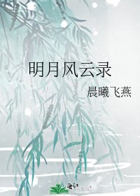《明月风云录》