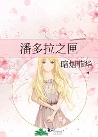 《潘多拉之匣》