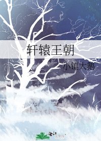 《轩辕王朝》