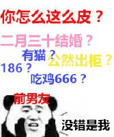《你怎么这么皮》