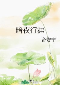 暗夜行涯