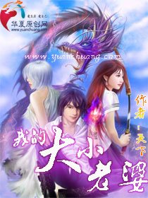 《我的大小老婆》