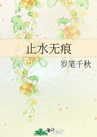《止水无痕》