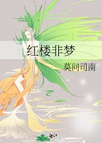红楼非梦