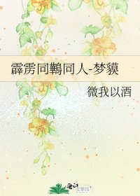 《霹雳同鷨同人-梦貘》