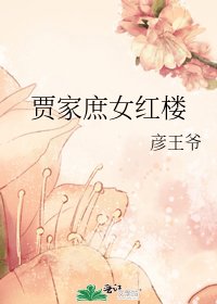 贾家庶女红楼