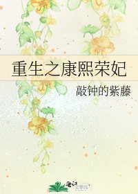 《重生之康熙荣妃》