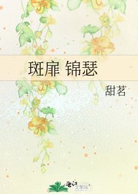 《斑扉 锦瑟》