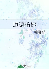 道德指标