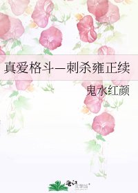 真爱格斗—刺杀雍正续