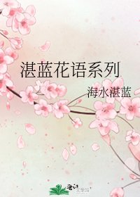 湛蓝花语系列