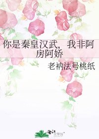 你是秦皇汉武，我非阿房阿娇