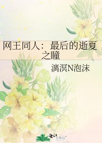 《网王同人:最后的逝夏之瞳》
