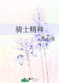 騎士精神
