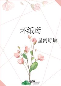 坏纸鸢