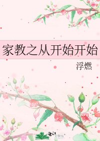家教之从开始开始