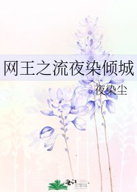 《网王之流夜染倾城》