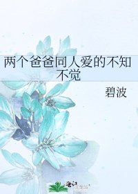 两个爸爸同人爱的不知不觉