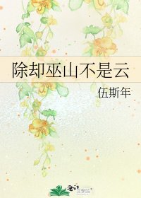 《除却巫山不是云》
