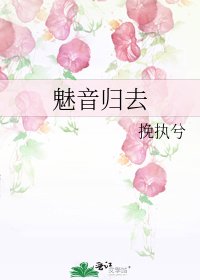 魅音归去