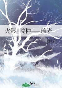 火影+喰种——琉光