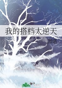 《我的搭档太逆天》