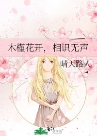 木槿花开,相识无声