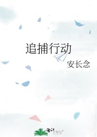 《追捕行动》