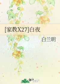 [家教X27]白夜