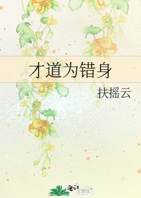 才道为错身
