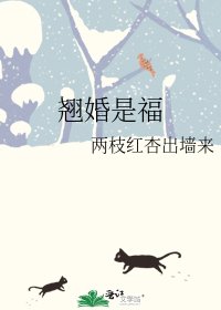 翹婚是福