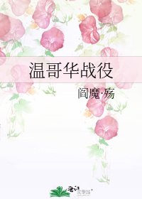 《温哥华战役》