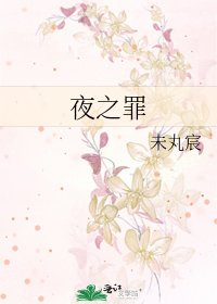 《夜之罪》