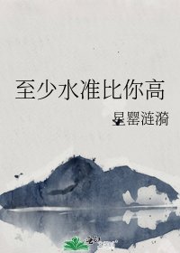 至少水准比你高