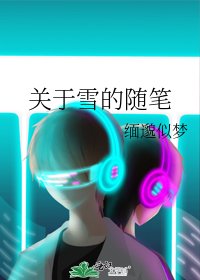《关于雪的随笔》