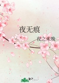 《夜无痕》