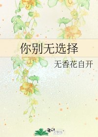 《你别无选择》