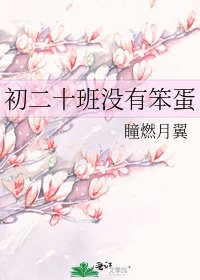 初二十班没有笨蛋