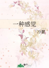 一种感觉