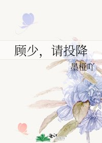 《顾少,请投降》