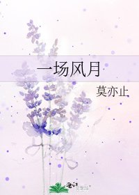 《一场风月》