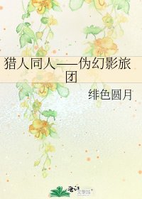 《猎人同人——伪幻影旅团》
