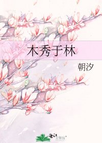 木秀於林