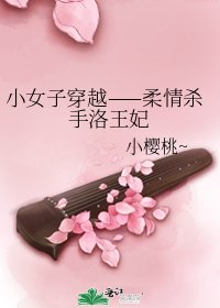 小女子穿越——柔情杀手洛王妃